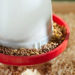 Stride Animal Health Super Spur Chicken Supplement, 10-lb Pail -Meadow Farm 223338 PT5. AC SS1800 V1686861076