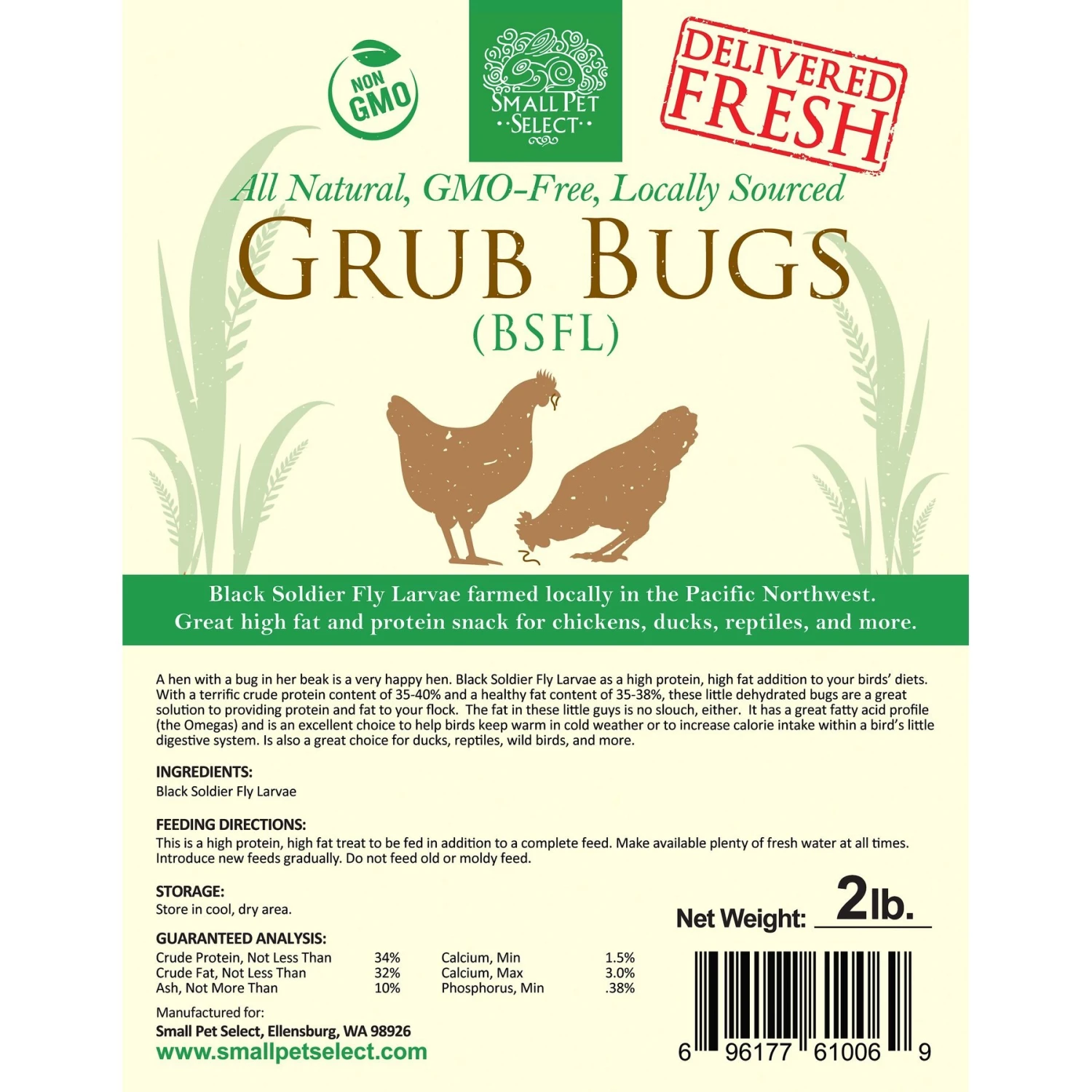 Small Pet Select Grub Bugs Black Soldier Fly Larvae Poultry Feed 3 Small Pet Select Grub Bugs Black Soldier Fly Larvae Poultry Feed - Image 3