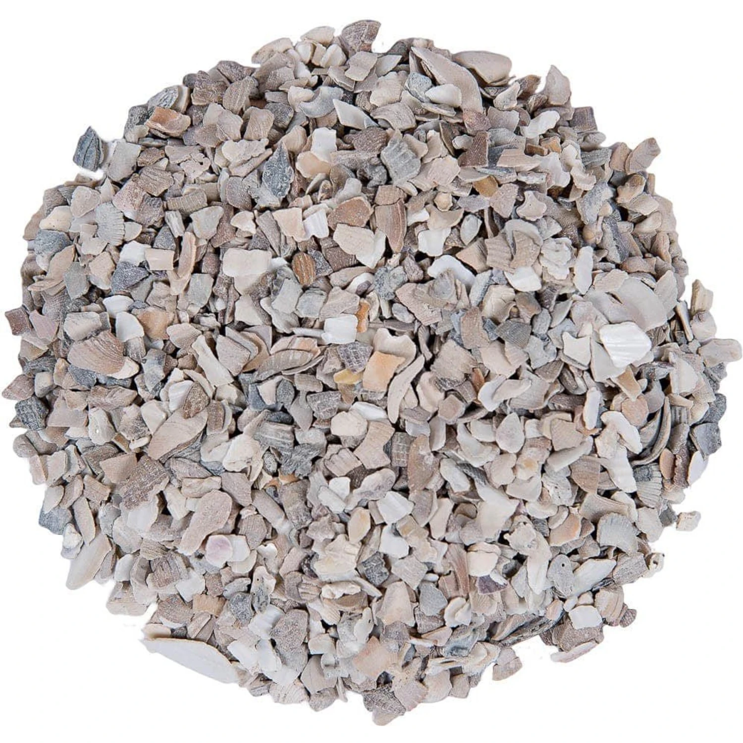 Small Pet Select Oyster Shell Calcium Poultry Supplement 3 Small Pet Select Oyster Shell Calcium Poultry Supplement - Image 3