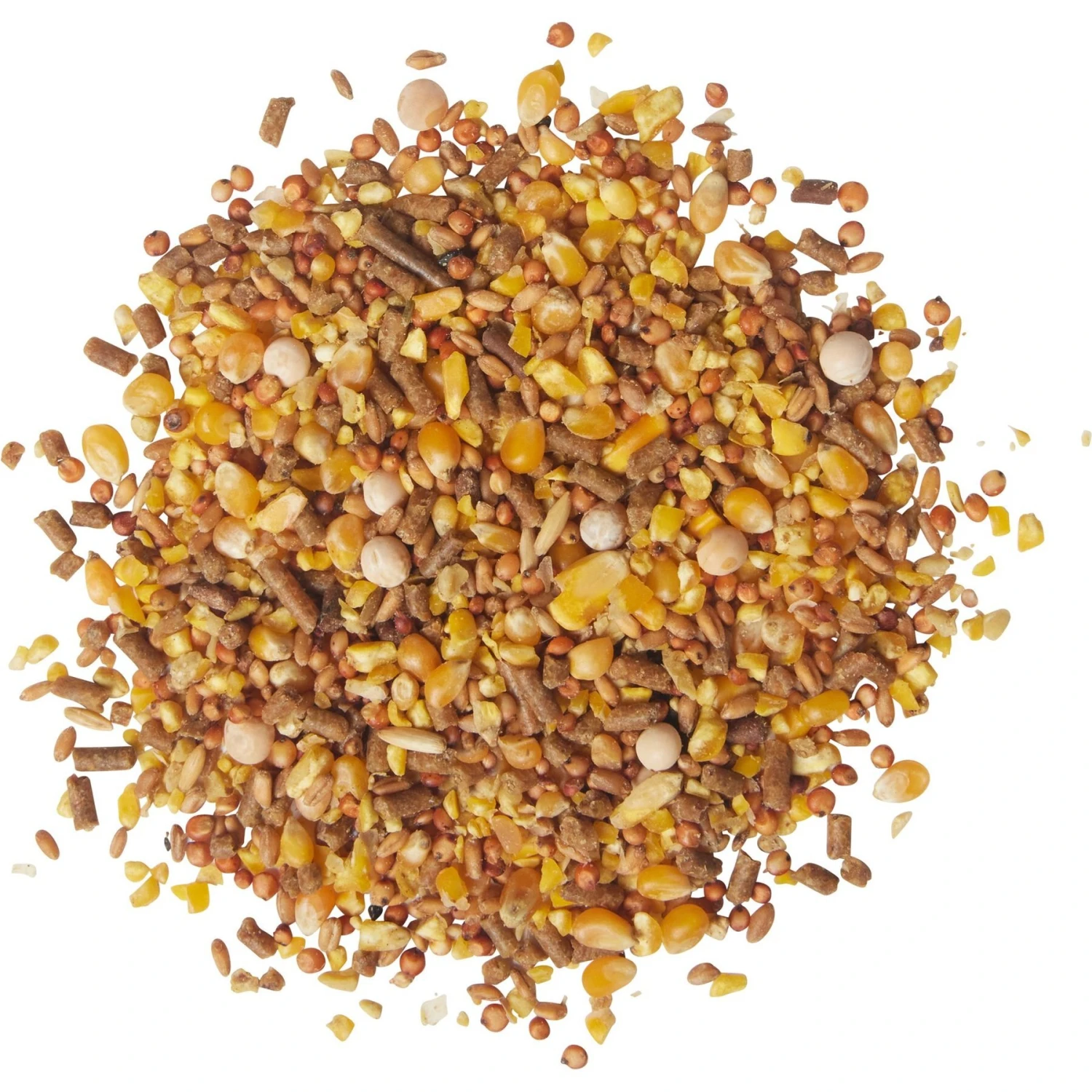 Bluebonnet Feeds Poultry Conditioner 14% Protein Premium Formula Grain Bird Food 2 Bluebonnet Feeds Poultry Conditioner 14% Protein Premium Formula Grain Bird Food - Image 2