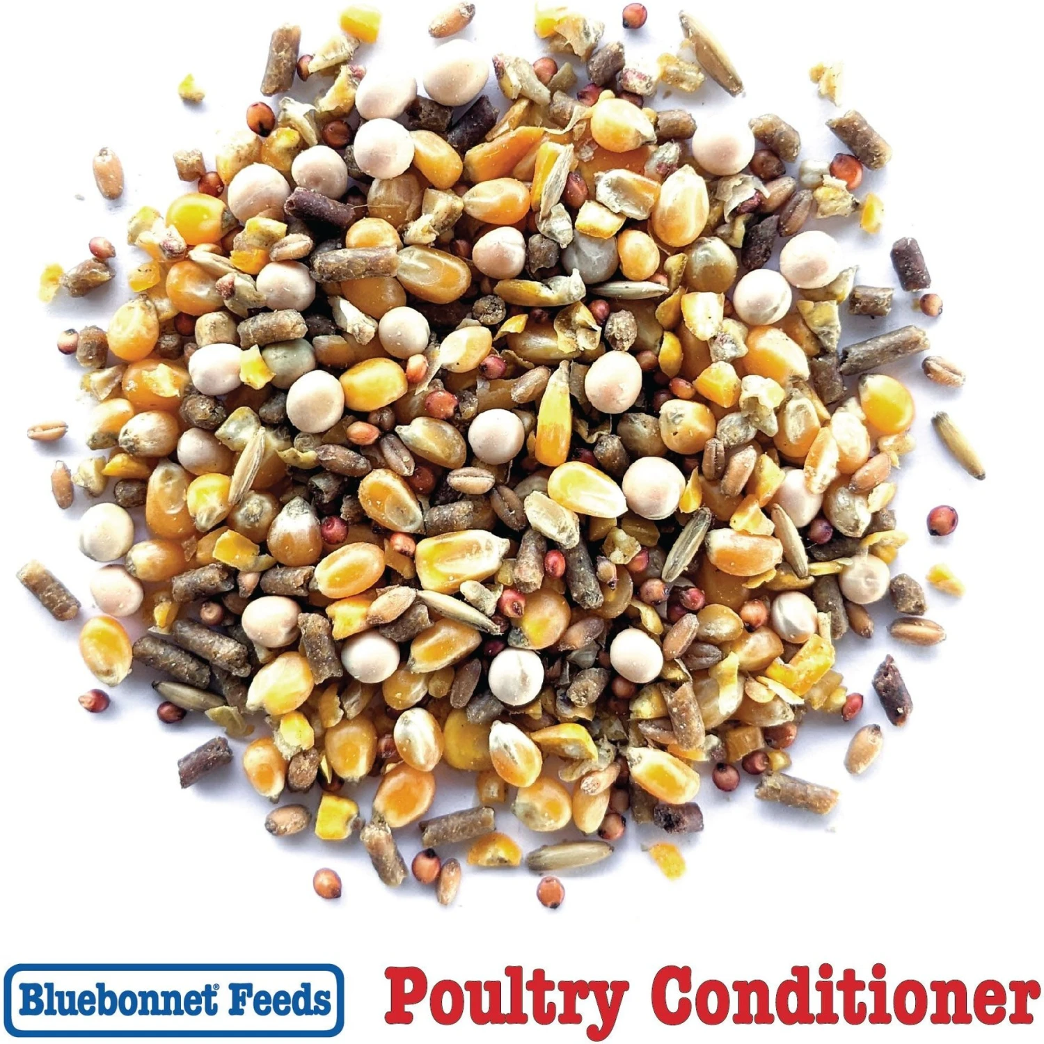 Bluebonnet Feeds Poultry Conditioner 14% Protein Premium Formula Grain Bird Food 8 Bluebonnet Feeds Poultry Conditioner 14% Protein Premium Formula Grain Bird Food - Image 8