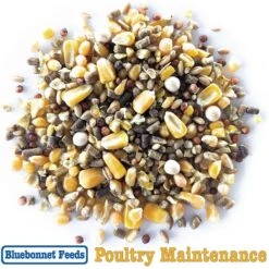 Bluebonnet Feeds Poultry Maintenance 14% Protein Premium Formula Grain Bird Food -Meadow Farm 225318 PT7. AC SS1800 V1682096515