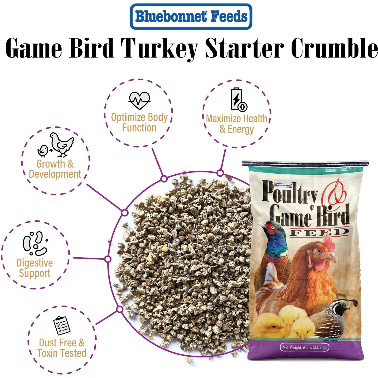 Bluebonnet Feeds Poultry & Game 30% Protein Crumble Bird Food 6 Bluebonnet Feeds Poultry & Game 30% Protein Crumble Bird Food - Image 6