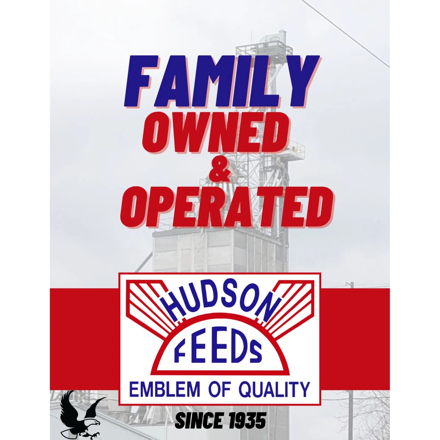 Hudson Feeds 28% Protein Multi-Flock Starter Complete Poultry Feed, 50-lb Bag 5 Hudson Feeds 28% Protein Multi-Flock Starter Complete Poultry Feed, 50-lb Bag - Image 5