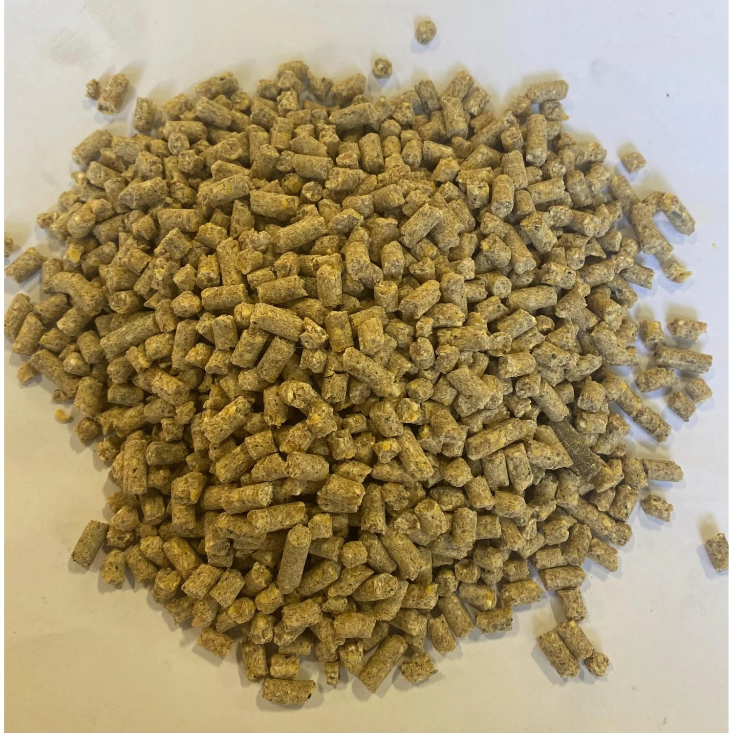 Hudson Feeds Swine Feeds Supreme Grower Complete Pig Food, 50-lb Bag 3 Hudson Feeds Swine Feeds Supreme Grower Complete Pig Food, 50-lb Bag - Image 3