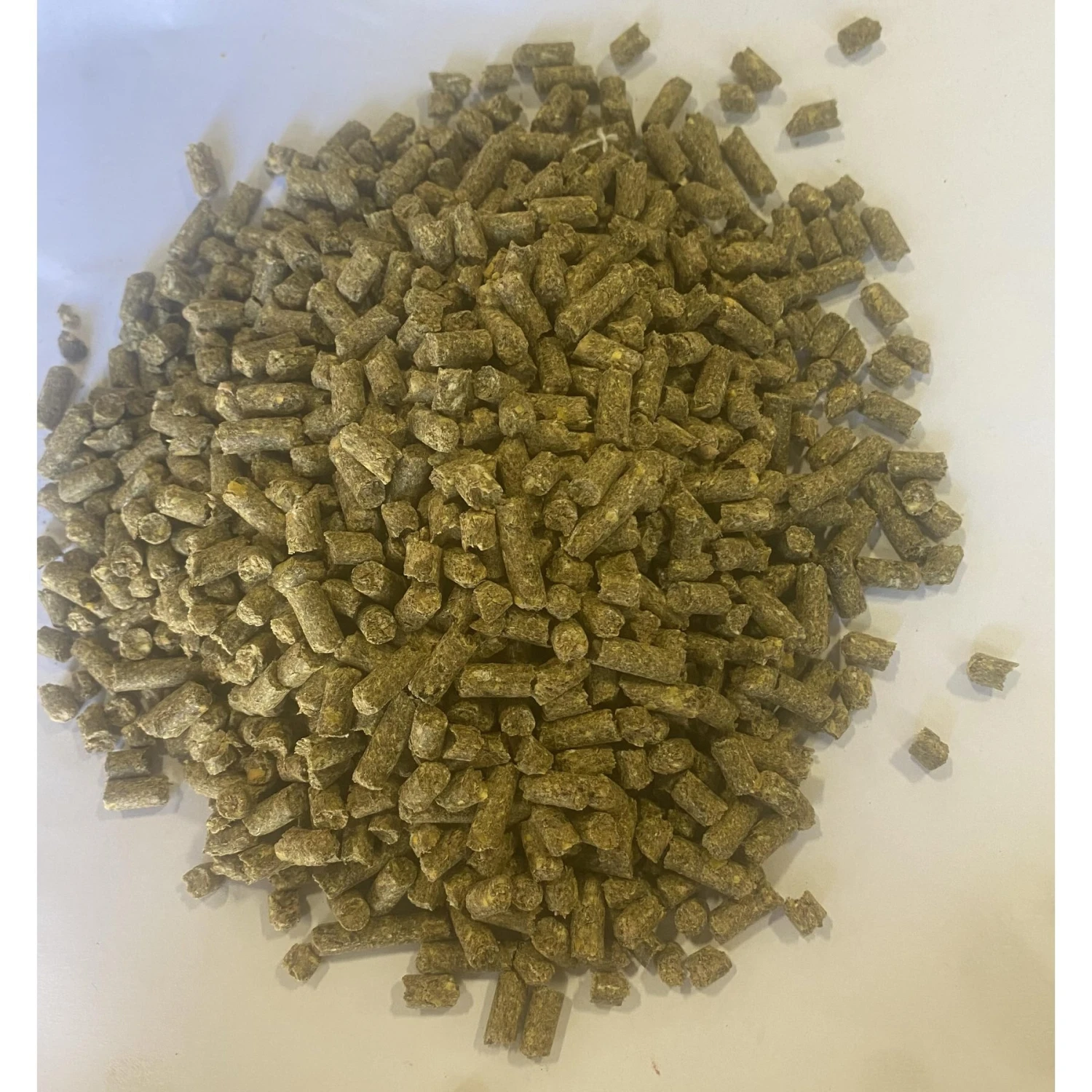 Hudson Feeds Swine Feeds Pot Bellied Pig Food, 50-lb Bag 3 Hudson Feeds Swine Feeds Pot Bellied Pig Food, 50-lb Bag - Image 3