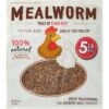 Flock Fest Dried Mealworms Adult Poultry Treats, 5-lb Bag