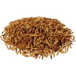 Flock Fest Dried Mealworms Adult Poultry Treats, 5-lb Bag -Meadow Farm 228170 PT2. AC SS1800 V1585054597