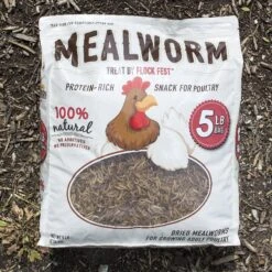 Flock Fest Dried Mealworms Adult Chicken Treats, 5-lb Bag & Stainless Steel Feeder Bucket -Meadow Farm 228173 PT2. AC SS1800 V1585054560