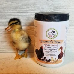 Fresh Eggs Daily Brewers Yeast With Garlic Chicken & Duck Feeding Supplement -Meadow Farm 229967 PT4. AC SS1800 V1586368864
