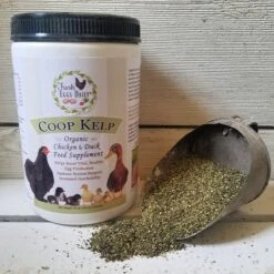 Fresh Eggs Daily Coop Kelp Organic Chicken & Duck Supplement -Meadow Farm 229970 PT3. AC SS1800 V1586368867
