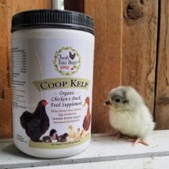 Fresh Eggs Daily Coop Kelp Organic Chicken & Duck Supplement -Meadow Farm 229970 PT4. AC SS1800 V1586368869
