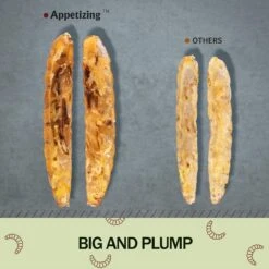 Amzey Appetizing Bugs Premium Chicken & Bird Treats -Meadow Farm 235610 PT5. AC SS1800 V1597089365