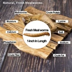 Amzey Appetizing Fresh Mealworms Treats, 8.46-oz Bag, 12 Count -Meadow Farm 235612 PT4. AC SS1800 V1590006165