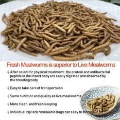 Amzey Appetizing Fresh Mealworms Treats, 8.46-oz Bag, 12 Count -Meadow Farm 235612 PT5. AC SS1800 V1590006162