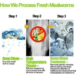 Amzey Appetizing Fresh Mealworms Treats, 8.46-oz Bag, 12 Count -Meadow Farm 235612 PT6. AC SS1800 V1590006165