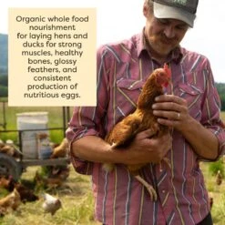 Scratch And Peck Feeds Organic Layer With Corn 16% Protein Grain Poultry Feed -Meadow Farm 239978 PT5. AC SS1800 V1682018236