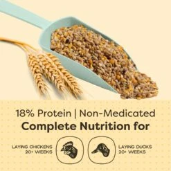 Scratch And Peck Feeds Organic Layer With Corn 18% Protein Grain Poultry Feed -Meadow Farm 239980 PT4. AC SS1800 V1665781483