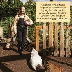 Scratch And Peck Feeds Organic Layer With Corn 18% Protein Grain Poultry Feed -Meadow Farm 239980 PT5. AC SS1800 V1665669442