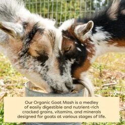 Scratch And Peck Feeds Organic Goat Feed, 40-lb Bag -Meadow Farm 239984 PT5. AC SS1800 V1665670159