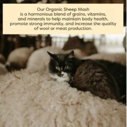 Scratch And Peck Feeds Organic Sheep Feed, 40-lb Bag -Meadow Farm 239986 PT5. AC SS1800 V1665669291