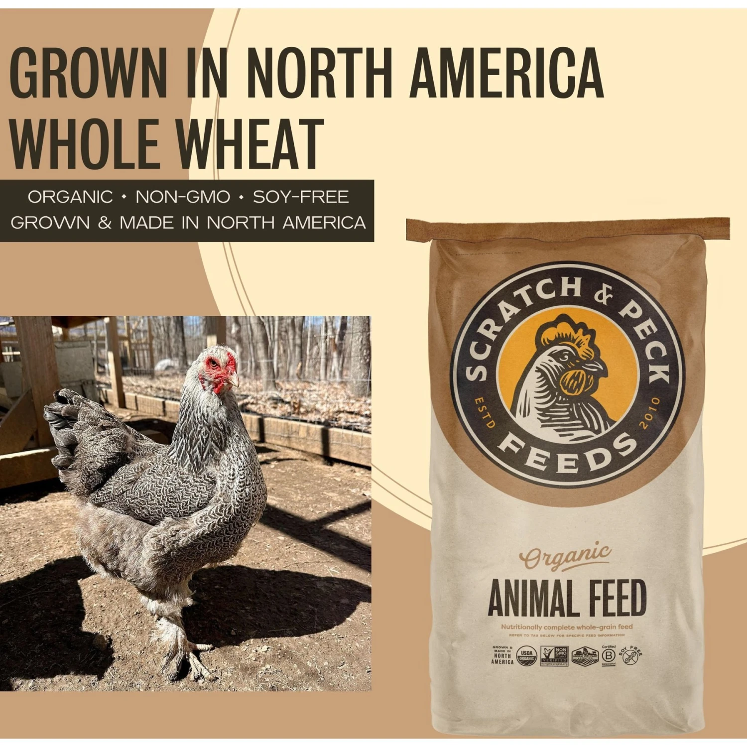 Scratch And Peck Feeds Organic Whole Wheat Poultry Treats, 40-lb Bag 3 Scratch And Peck Feeds Organic Whole Wheat Poultry Treats, 40-lb Bag - Image 3