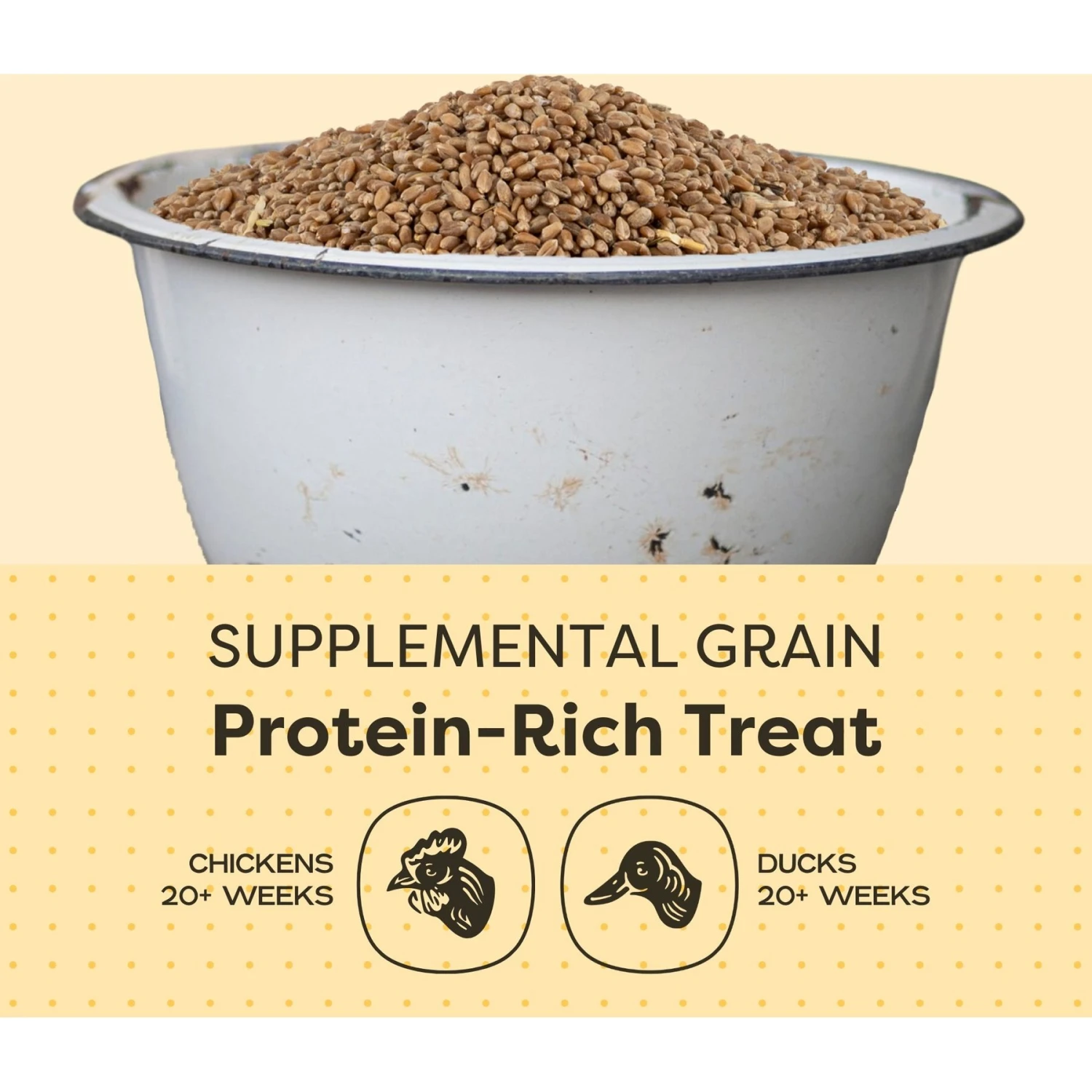 Scratch And Peck Feeds Organic Whole Wheat Poultry Treats, 40-lb Bag 5 Scratch And Peck Feeds Organic Whole Wheat Poultry Treats, 40-lb Bag - Image 5