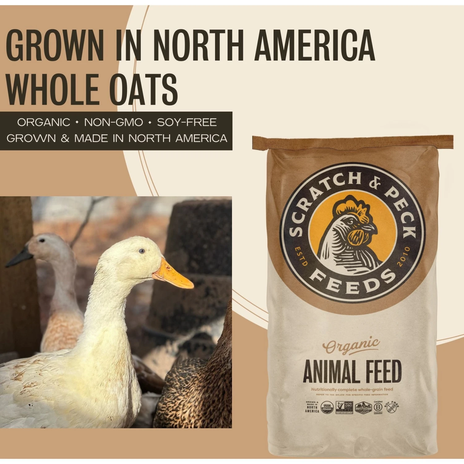 Scratch And Peck Feeds Organic Whole Oats Poultry Treats, 40-lb Bag 3 Scratch And Peck Feeds Organic Whole Oats Poultry Treats, 40-lb Bag - Image 3