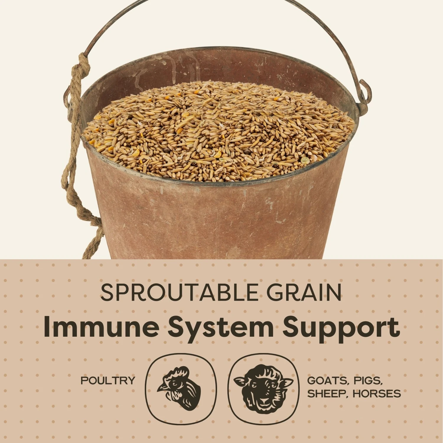 Scratch And Peck Feeds Organic Whole Oats Poultry Treats, 40-lb Bag 5 Scratch And Peck Feeds Organic Whole Oats Poultry Treats, 40-lb Bag - Image 5