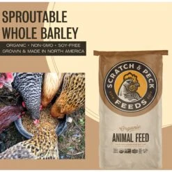 Scratch And Peck Feeds Organic Whole Barley Poultry Treats, 40-lb Bag -Meadow Farm 239992 PT2. AC SS1800 V1665669507