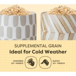 Scratch And Peck Feeds Cluckin' Good Organic Cracked Corn Poultry Treats 13 Scratch And Peck Feeds Cluckin' Good Organic Cracked Corn Poultry Treats -Meadow Farm 239994 PT4. AC SS1800 V1681146134