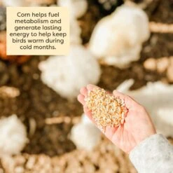 Scratch And Peck Feeds Cluckin' Good Organic Cracked Corn Poultry Treats 14 Scratch And Peck Feeds Cluckin' Good Organic Cracked Corn Poultry Treats -Meadow Farm 239994 PT5. AC SS1800 V1681156134