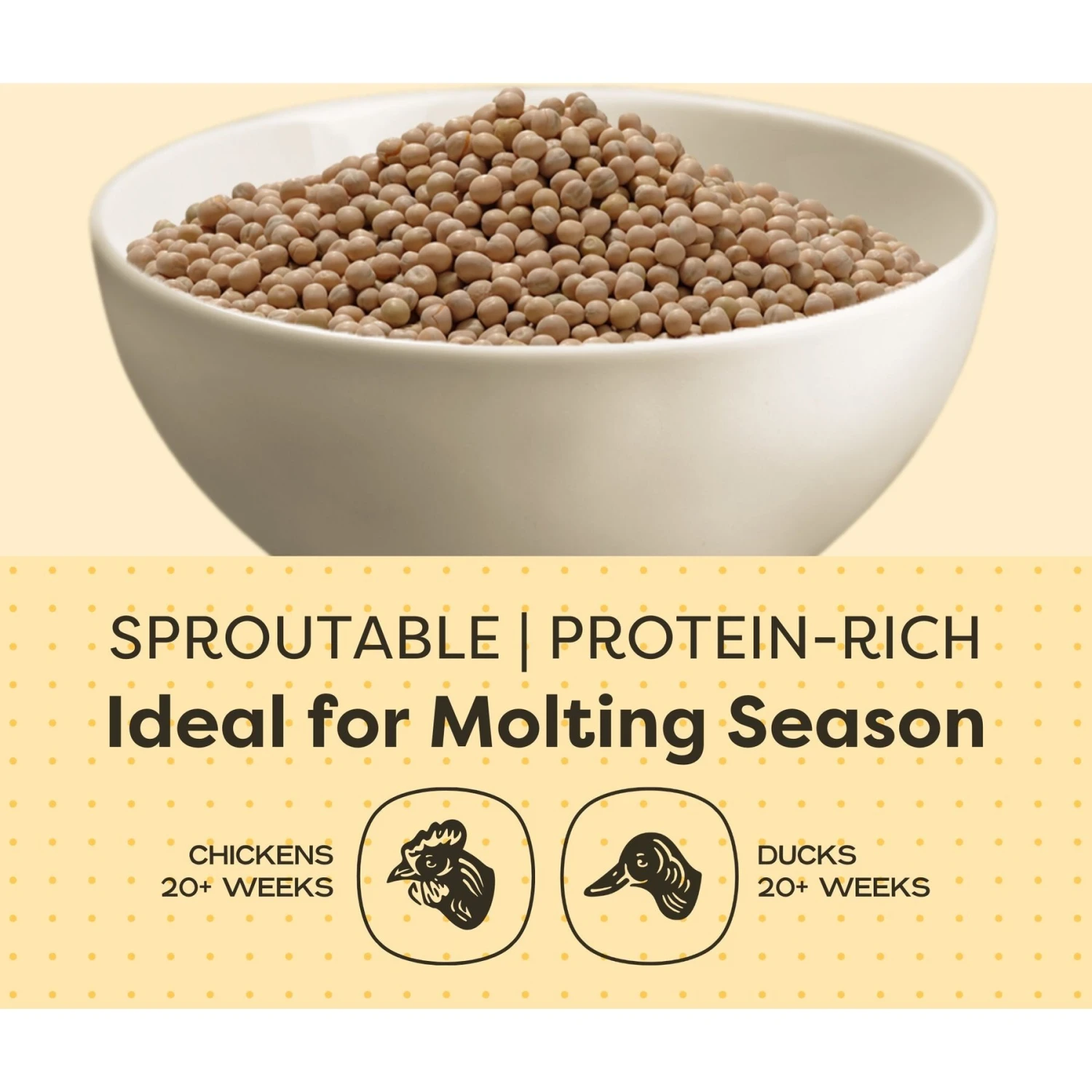 Scratch And Peck Feeds Organic Whole Peas Poultry Treats, 40-lb Bag 5 Scratch And Peck Feeds Organic Whole Peas Poultry Treats, 40-lb Bag - Image 5