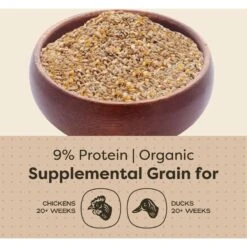 Scratch And Peck Feeds Cluckin' Good Organic Scratch N' Corn Poultry Treats -Meadow Farm 240000 PT4. AC SS1800 V1681145670