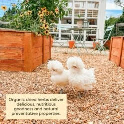 Scratch And Peck Feeds Cluckin' Good Organic Herbs Chicken Supplement, 10-oz Bag 14 Scratch And Peck Feeds Cluckin' Good Organic Herbs Chicken Supplement, 10-oz Bag -Meadow Farm 240008 PT5. AC SS1800 V1681222102
