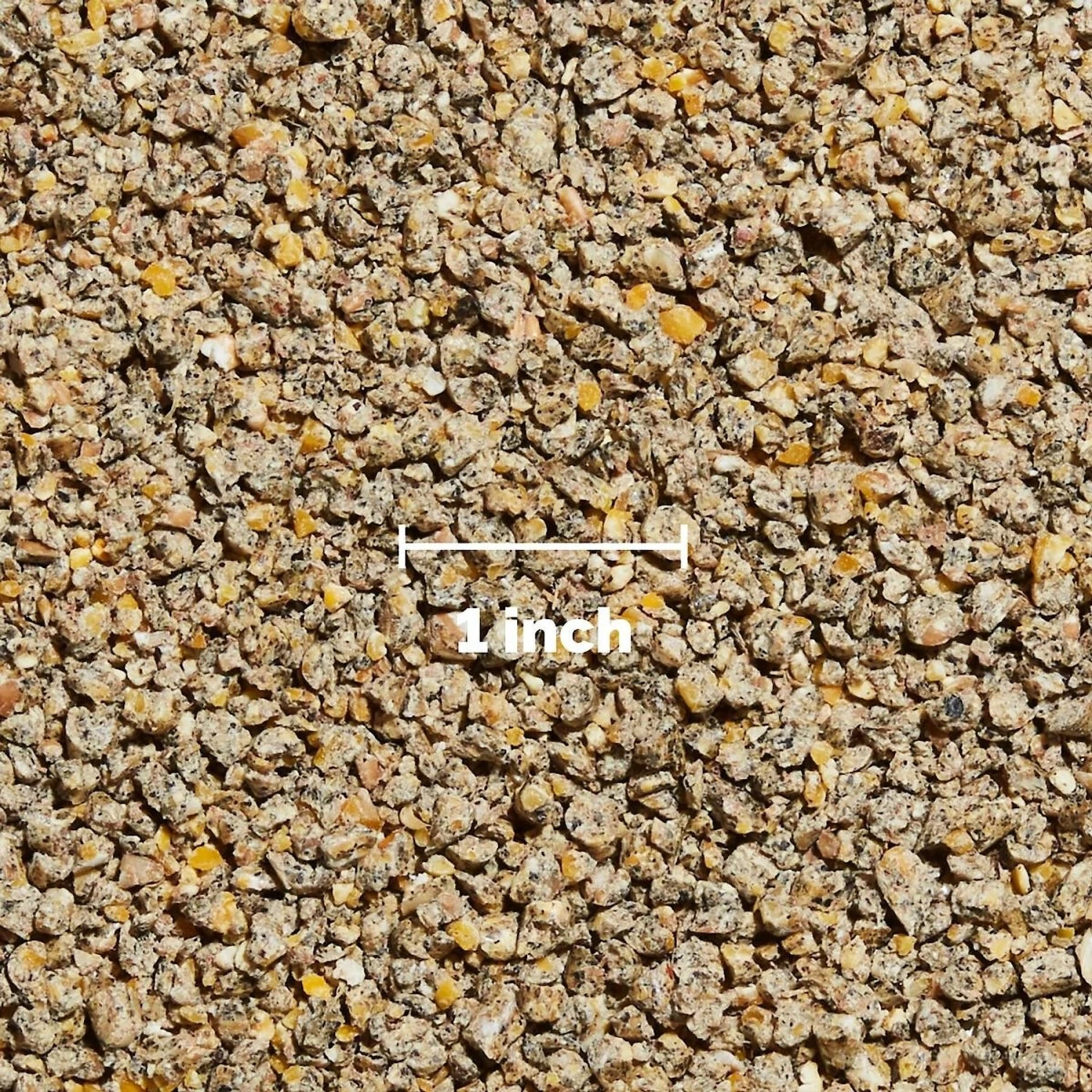 Hen Up Starter Grower Organic Crumbles Chicken Food, 25-lb Bag 4 Hen Up Starter Grower Organic Crumbles Chicken Food, 25-lb Bag - Image 4