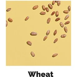 Hen Up Starter Grower Organic Crumbles Chicken Food, 25-lb Bag 13 Hen Up Starter Grower Organic Crumbles Chicken Food, 25-lb Bag -Meadow Farm 248009 PT4. AC SS1800 V1600266363