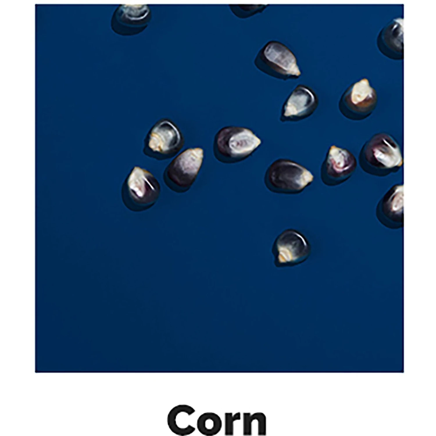 Hen Up Starter Grower Organic Crumbles Chicken Food, 25-lb Bag 8 Hen Up Starter Grower Organic Crumbles Chicken Food, 25-lb Bag - Image 8