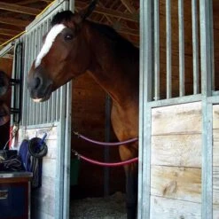 America's Choice Medium Flake Poultry Bedding -Meadow Farm 248259 PT3. AC SS1800 V1659826001