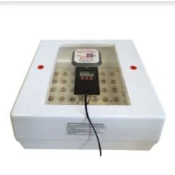 Meadow Farm 31 Meadow Farm -Meadow Farm 253469 PT1. AC SS1800 V1687963957