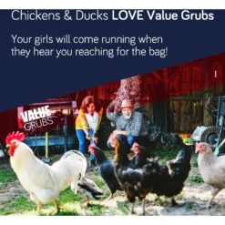 Value Grubs Black Soldier Fly Larvae Chicken, Duck, & Bird Feed & Molting Supplement -Meadow Farm 254725 PT3. AC SS1800 V1602602483
