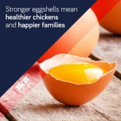 Value Grubs Black Soldier Fly Larvae Chicken, Duck, & Bird Feed & Molting Supplement -Meadow Farm 254725 PT4. AC SS1800 V1602603685