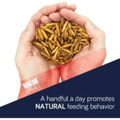 Value Grubs Black Soldier Fly Larvae Chicken, Duck, & Bird Feed & Molting Supplement -Meadow Farm 254725 PT8. AC SS1800 V1602625906