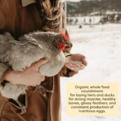 Scratch And Peck Feeds Organic Chicken & Duck Feed Layer Pellets 16% Protein -Meadow Farm 263486 PT5. AC SS1800 V1694618357