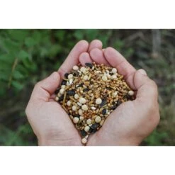 Little Farmer Products Scratchercise Chicken Treats 7 Little Farmer Products Scratchercise Chicken Treats -Meadow Farm 272705 PT2. AC SS1800 V1618961236