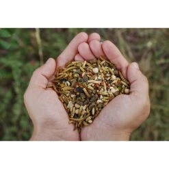 Little Farmer Products Chicken Fun Doo Chicken Treats -Meadow Farm 272709 PT2. AC SS1800 V1618957963