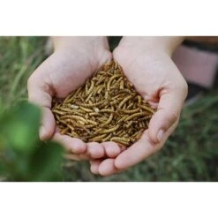 Little Farmer Products Add A Worm Chicken Treats, 1-lb Bag -Meadow Farm 272711 PT2. AC SS1800 V1618957056