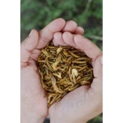 Little Farmer Products Surf & Turf Chicken Treats 7 Little Farmer Products Surf & Turf Chicken Treats -Meadow Farm 272724 PT2. AC SS1800 V1618962798