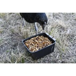 Little Farmer Products Bug-A-Licious Chicken Treats 9 Little Farmer Products Bug-A-Licious Chicken Treats -Meadow Farm 272743 PT3. AC SS1800 V1618955840