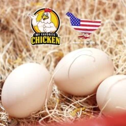 My Favorite Chicken Excelsior Chicken Nest Pads 11 My Favorite Chicken Excelsior Chicken Nest Pads -Meadow Farm 272761 PT3. AC SS1800 V1692714275